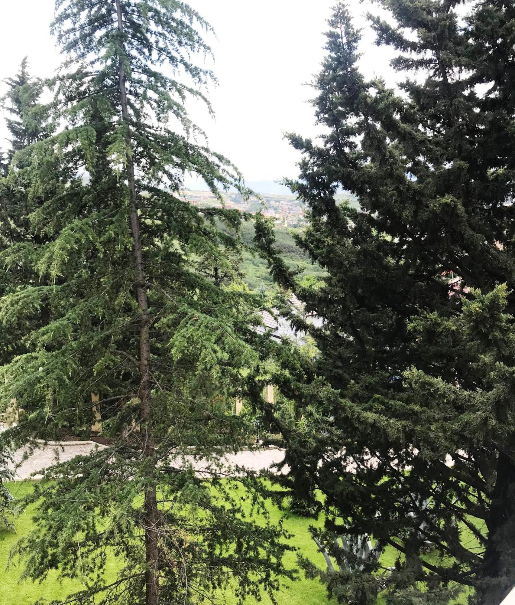 Chateau Linza Resort Tirana Buitenkant foto